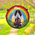 Springer Spaniel Black & White Rainbow Bridge Personalised Stained Glass Effect Suncatcher